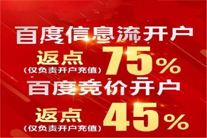 案例分析：竞价推广实战中的困境与突破